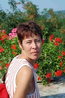 dieschnelleNadel